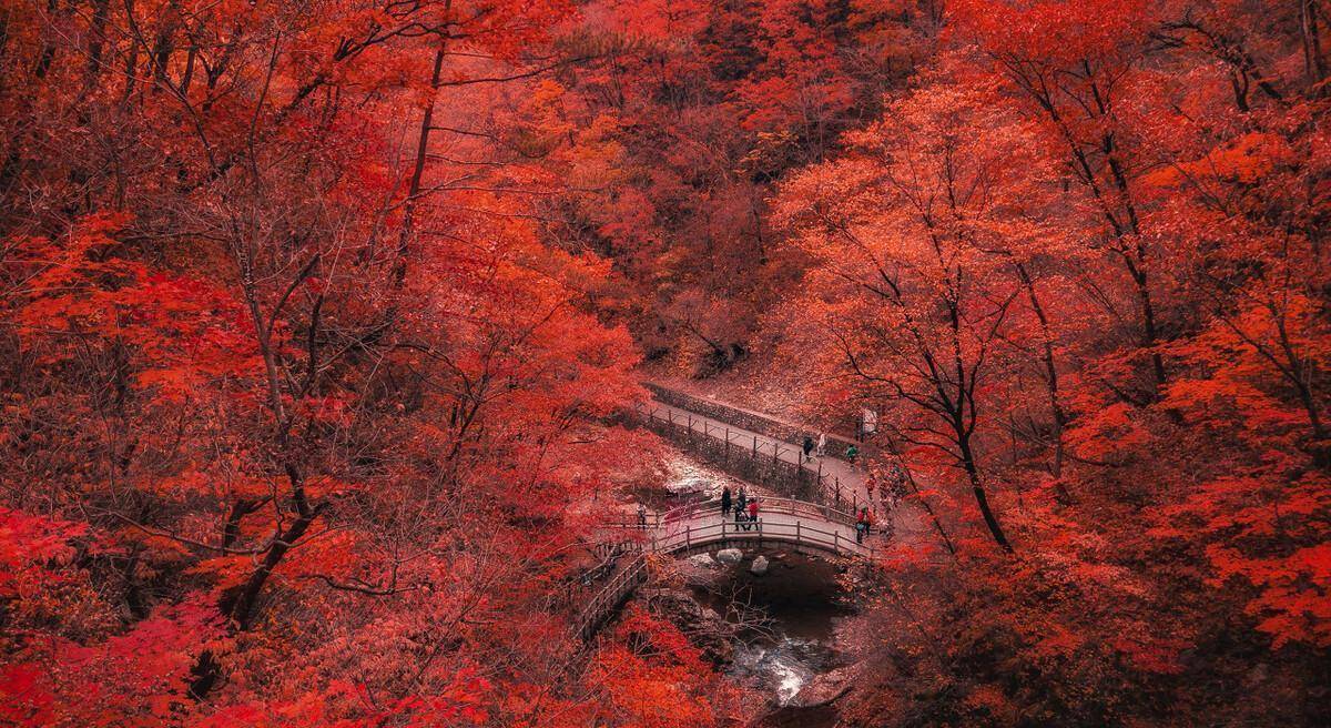 秋天的色彩是晚霞的红，凉凉的，却燃起了你心里的那份激情